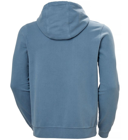 BLUZA MĘSKA HELLY HANSEN LOGO HOODIE 2,0 30394 601