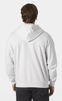 BLUZA MĘSKA Z KAPTUREM HELLY HANSEN CORE ZIP HOODIE 53059 823