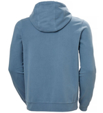 BLUZA MĘSKA HELLY HANSEN LOGO HOODIE 2,0 30394 601
