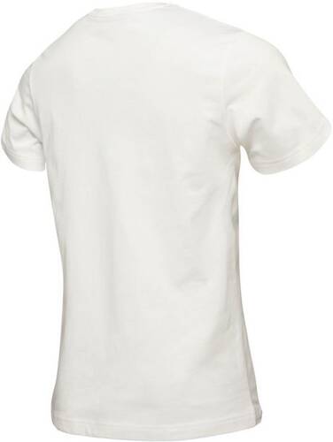 KOSZULKA MĘSKA HELLY HANSEN  CORE GRAPHIC T 53936 004