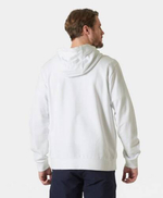 BLUZA MĘSKA HELLY HANSEN LOGO HOODIE 2,0 3007 30394 001