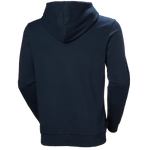 BLUZA MĘSKA HELLY HANSEN CORE GRAPHIC HOODIE 54524 595