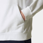 BLUZA MĘSKA HELLY HANSEN LOGO HOODIE 2,0 3007 30394 001