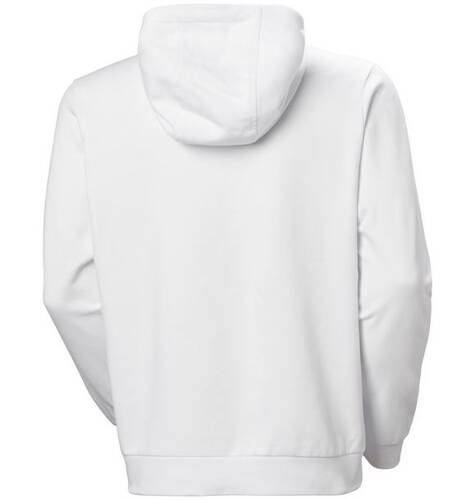 BLUZA MĘSKA HELLY HANSEN LOGO HOODIE 2,0 3007 30394 001