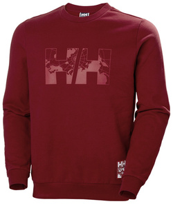 BLUZA MĘSKA HELLY HANSEN ARCTIC OCEAN 30364 215