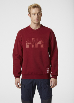 BLUZA MĘSKA HELLY HANSEN ARCTIC OCEAN 30364 215