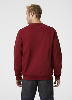 BLUZA MĘSKA HELLY HANSEN ARCTIC OCEAN 30364 215