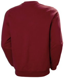 BLUZA MĘSKA HELLY HANSEN ARCTIC OCEAN 30364 215
